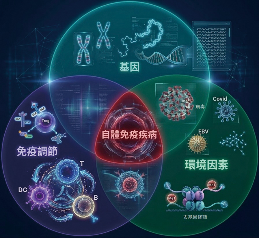 自體免疫疾病免疫耐受失衡的後果